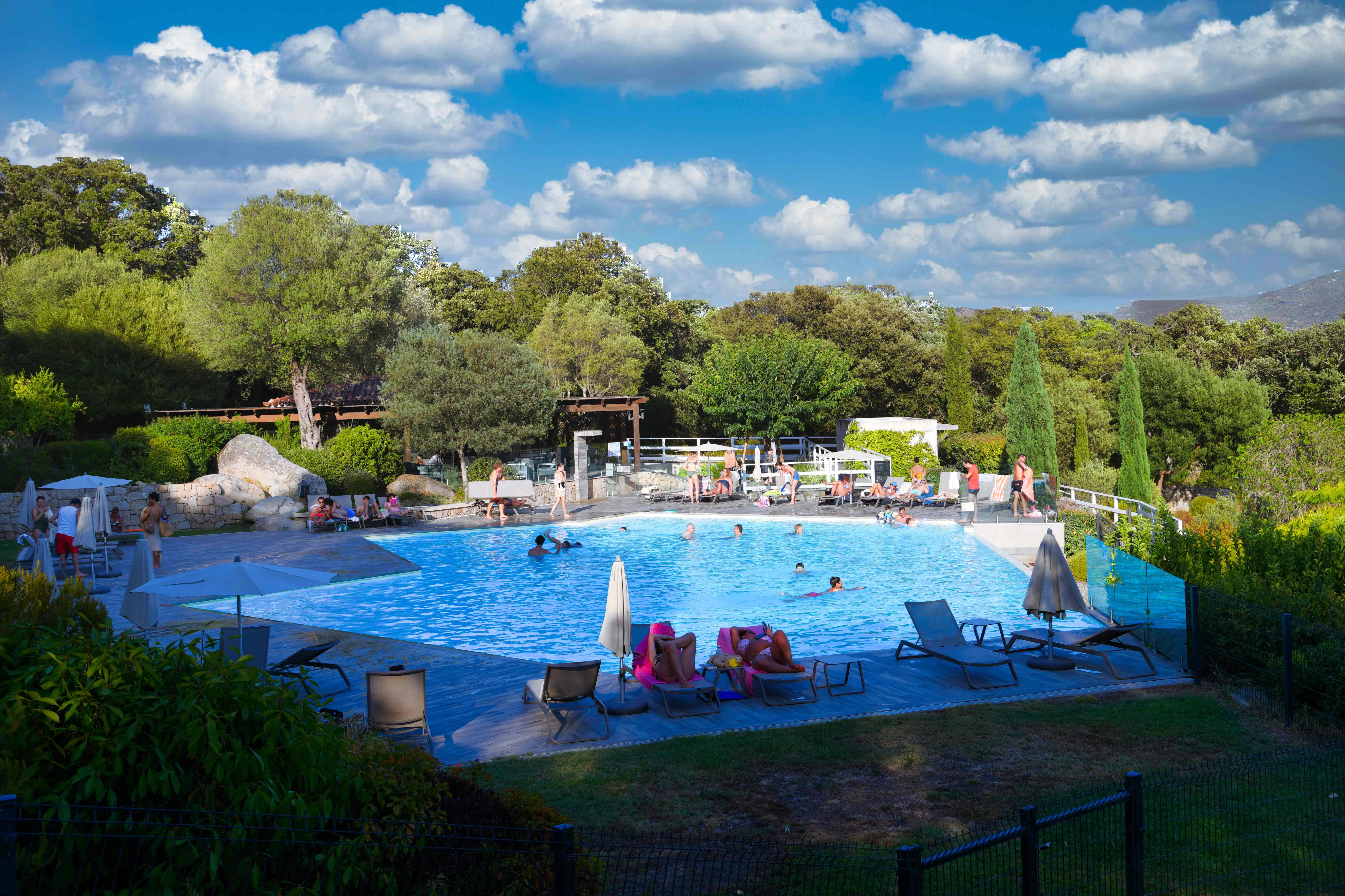 Piscine bassin