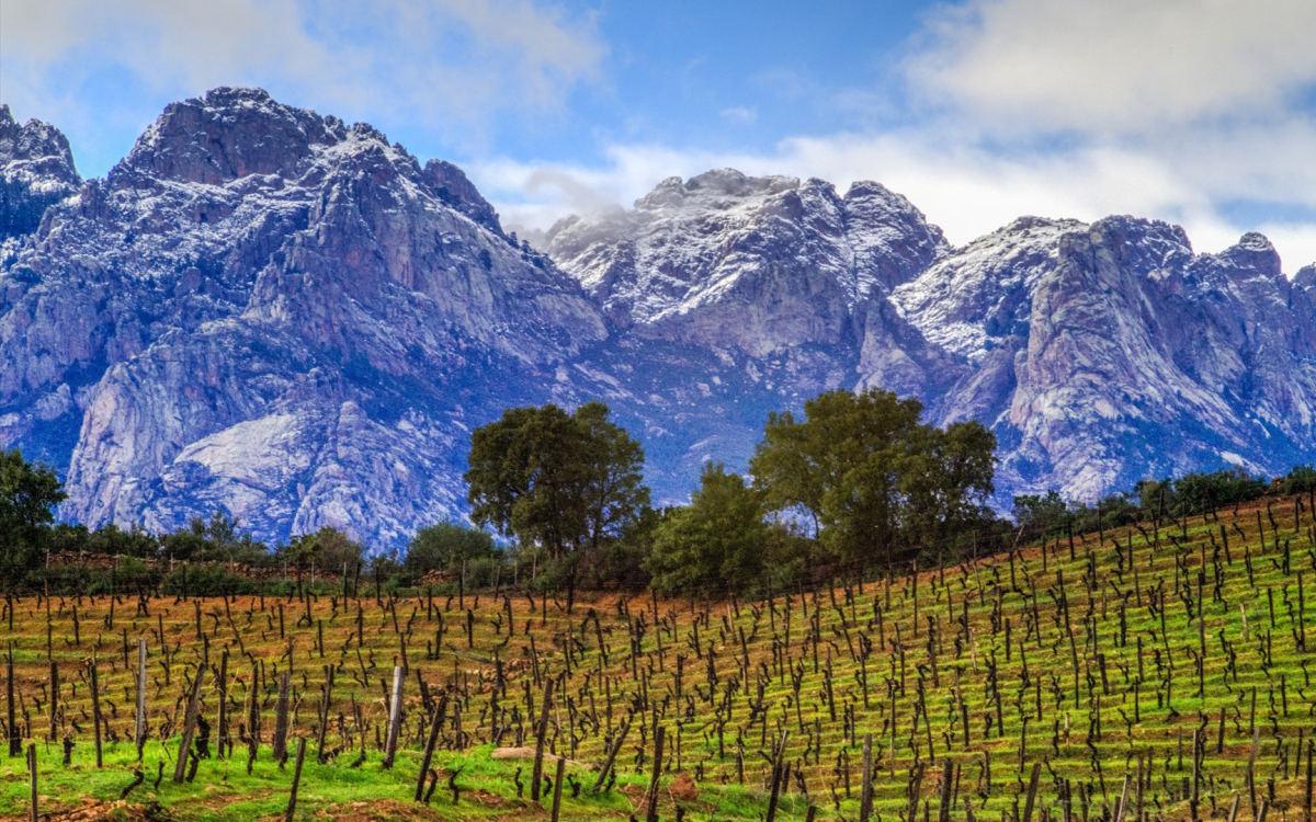 Terroir et gastronomie corse
